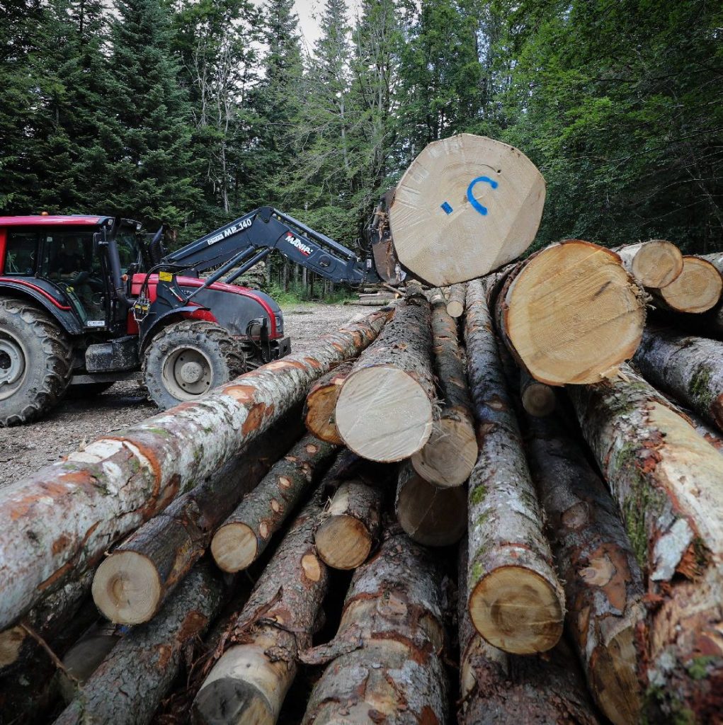 Franck Deloche Fillière Travaux Forestiers Exploitation forestière dans toute la HAUTE SAVOIE - de l'abattage à l'acheminement des bois
